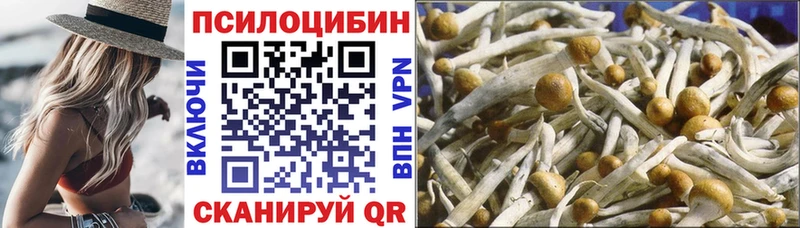 Псилоцибиновые грибы мицелий  Безенчук 